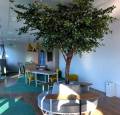 Espace - 2024-09-01 10.52.34